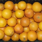 ARANCIA TAROCCO CAL 7-8   BIO