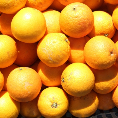 ARANCIA MORO CAL 4 BIO