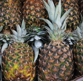 ANANAS BIO prov estera