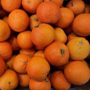 ARANCIA NAVEL  CAL  4 BIO