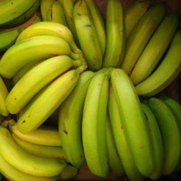 BANANA FAIR TRADE BIO PROV ESTERA