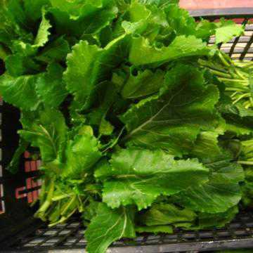 BROCCOLETTI CIME DI RAPA BIO