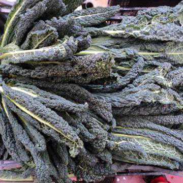 CAVOLO NERO BIO