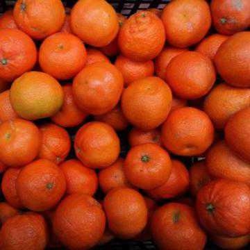 CLEMENTINE cal 3 BIO