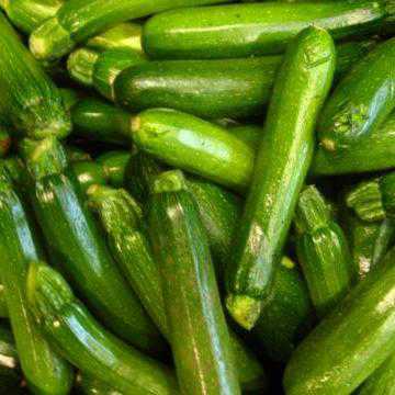 ZUCCHINE VERDI (cal 21 -28) BIO