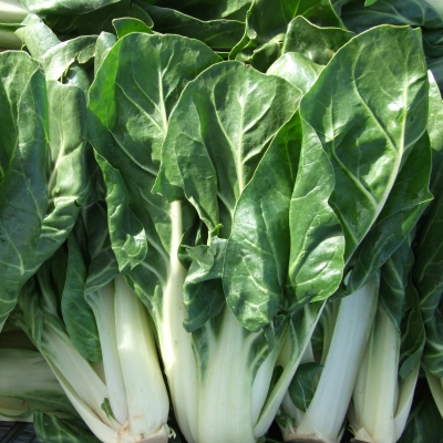 BIETA BIO