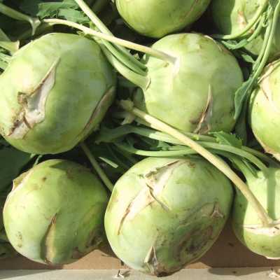 CAVOLO RAPA (A PEZZO) BIO