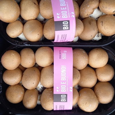 PRATAIOLI CREMA BIO Vaschetta 500 GR