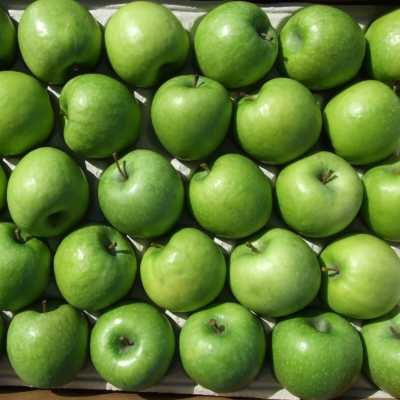 MELA GRANNY SMITH BIO