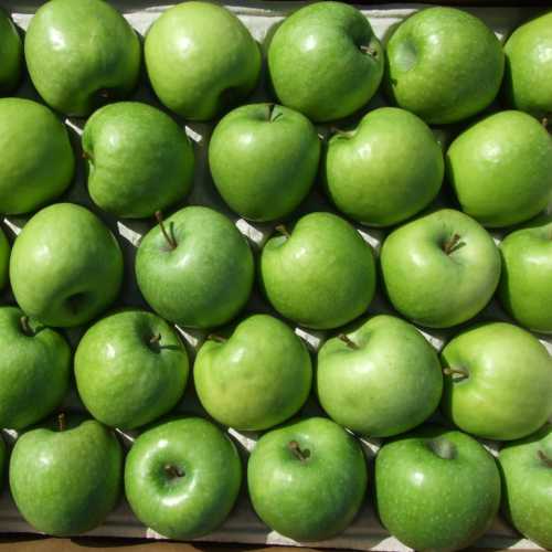 MELA GRANNY SMITH BIO