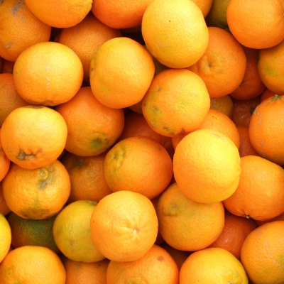 CLEMENTINE HERNANDINA BIO