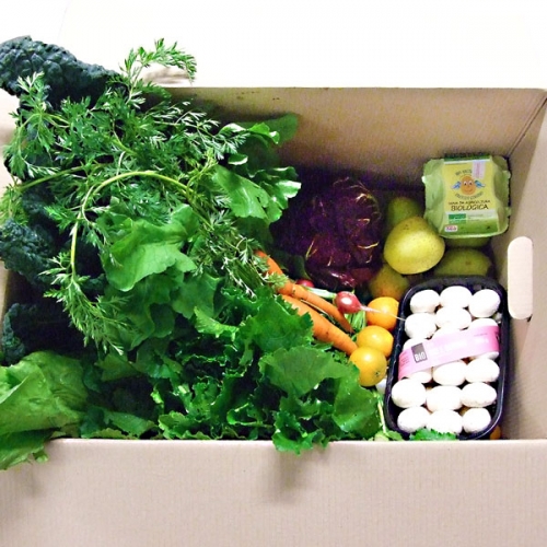 GRANDE MISTA 9 KG A DOMICILIO