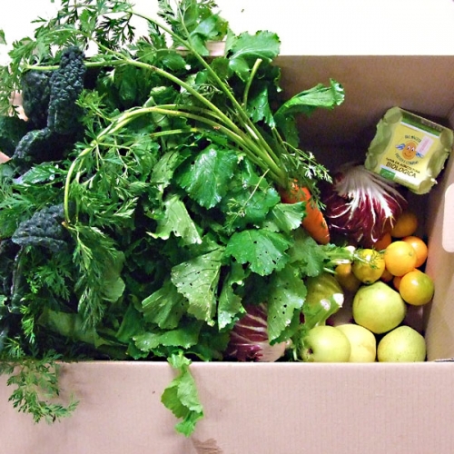 MEDIA MISTA 7 KG A DOMICILIO