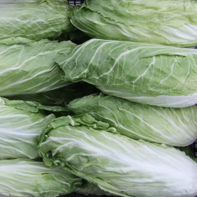 PAN DI ZUCCHERO BIO