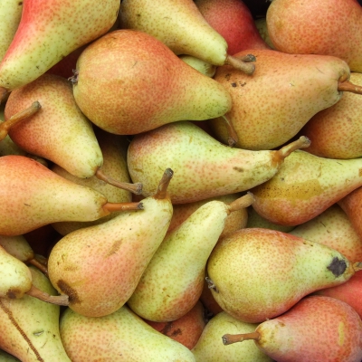 PERE CARMEN BIO