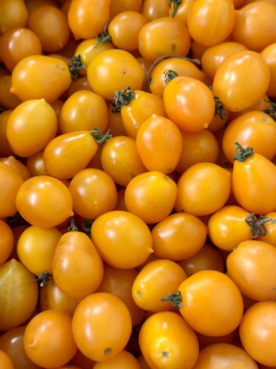 POMODORO CILIEGINO GIALLO