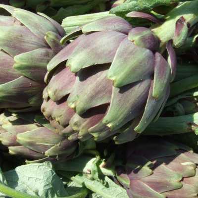 CARCIOFI VIOLETTI BIO