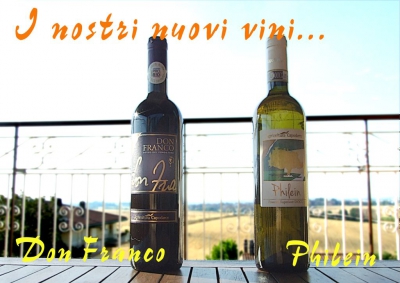 In nostri nuovi vini
